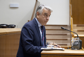 De Andrés en el Parlamento de Gasteiz.
