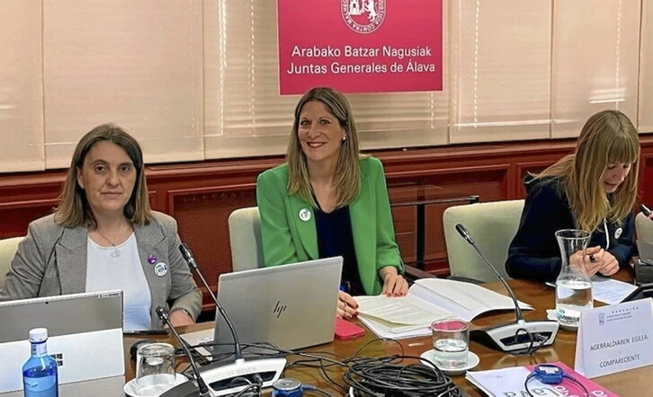 La diputada Zárate, en una comparecencia anterior en las Juntas Generales.