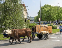 gara-2025-06-09-Noticia