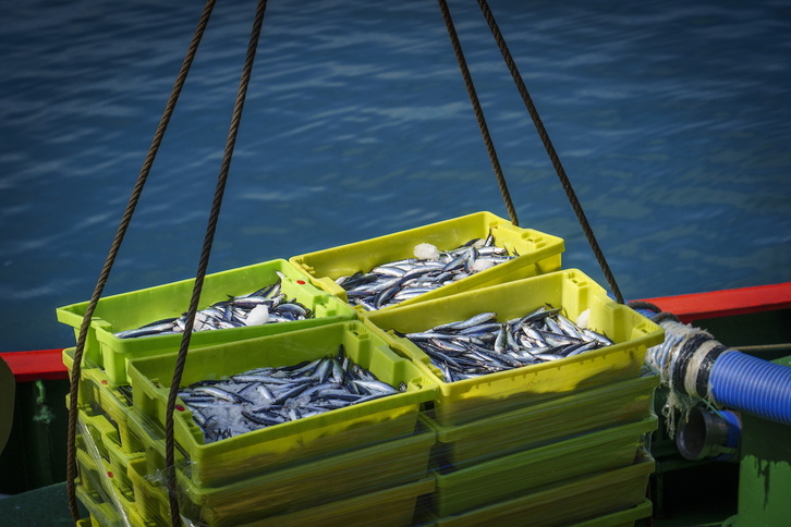Getariako portuan antxoa sartzen, artxiboko irudian.