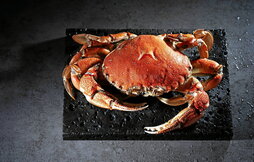 gara-2025-06-16-Noticia