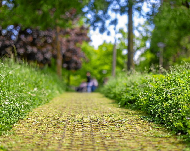 Lorategi guztiak ez dira berdinak. Ezta laguntasun guztiak ere.
