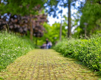 Lorategi guztiak ez dira berdinak. Ezta laguntasun guztiak ere.