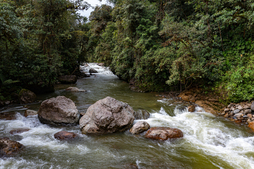 Ekuadorreko erreserbaren irudia.