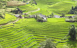 gara-2025-06-24-Noticia