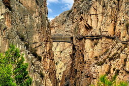 gara-2025-06-24-Noticia