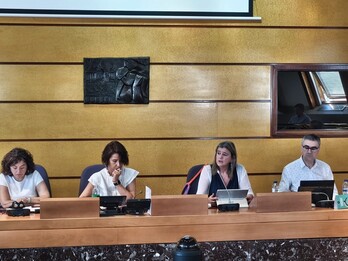 La diputada foral de Empleo, Cohesión Social e Igualdad, Teresa Laespada, ha presentado el programa ‘Ate Morea’.