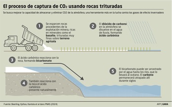 Gráfico en el que se explica el proceso de captura de dióxido de carbono.