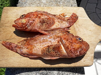 gara-2025-06-30-Noticia