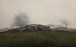 Erakusketan ikus daitekeen lanetariko bat.