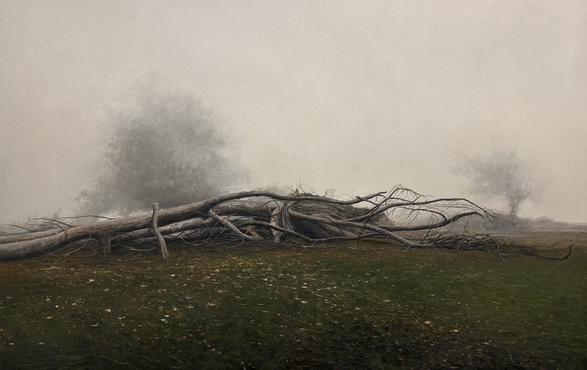 Erakusketan ikus daitekeen lanetariko bat.