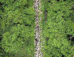 gara-2025-07-02-Noticia