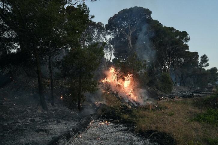 Prat de Cest udalerrian, Narbonatik gertu, gertatu den baso-sutearen irudia.