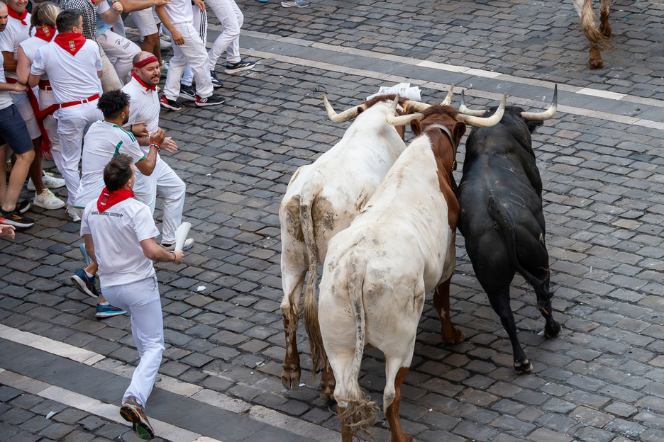Paso a los astados en la Plaza del Ayuntamiento.