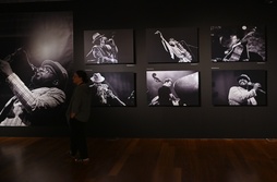 La muestra se podrá visitar hasta el 28 de septiembre.