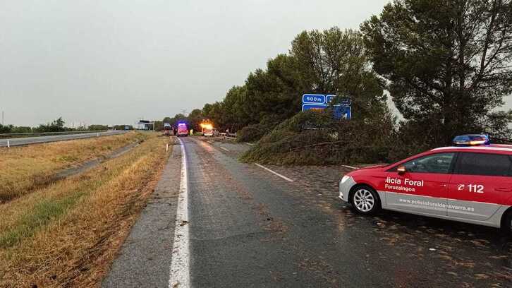 La tromba de agua no fue obstáculo para disfrutar de sanfermines.