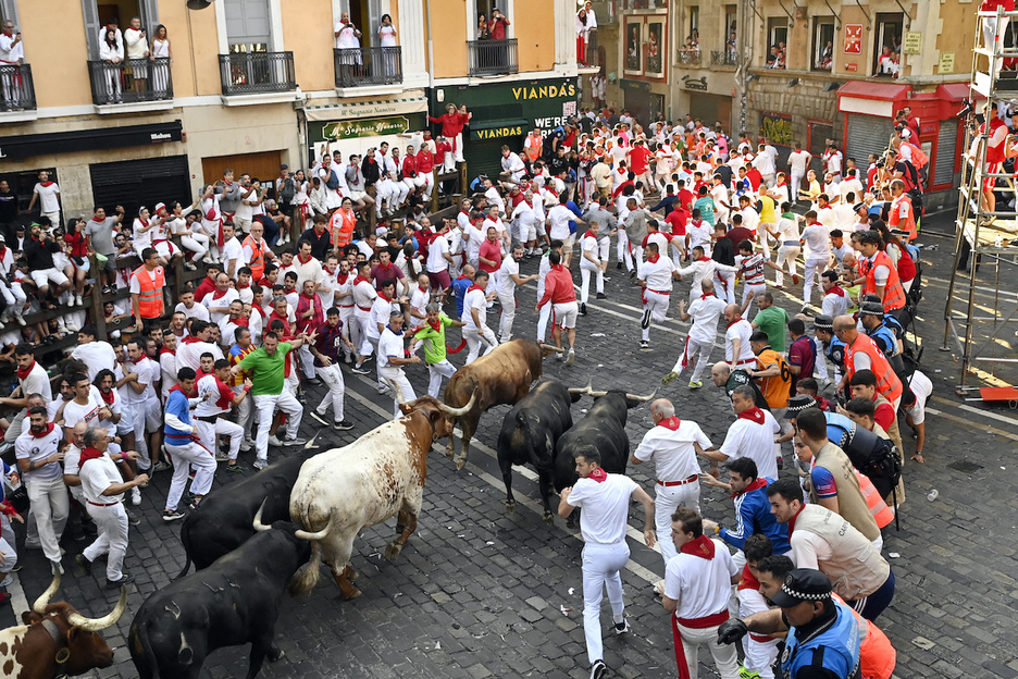 Hermosa imagen de la manada en el Ayuntamiento.
