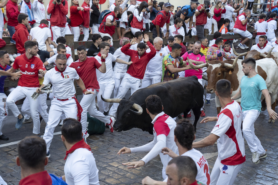 Un Palmosilla, a sus anchas por la bajada al callejón.