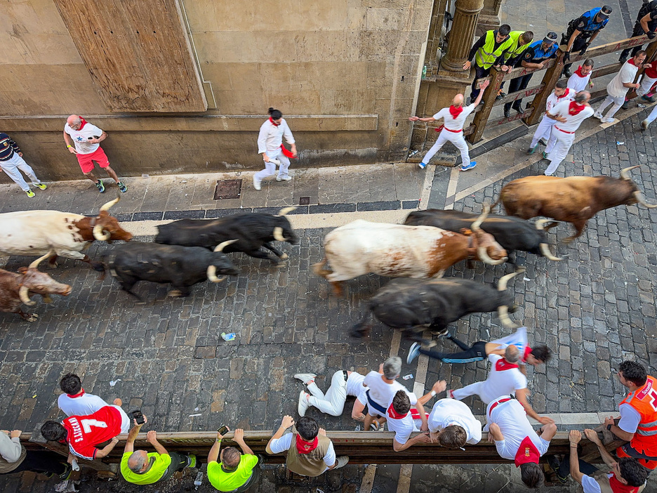 La manada acaba de subir Santo Domingo con una cogida a la derecha.