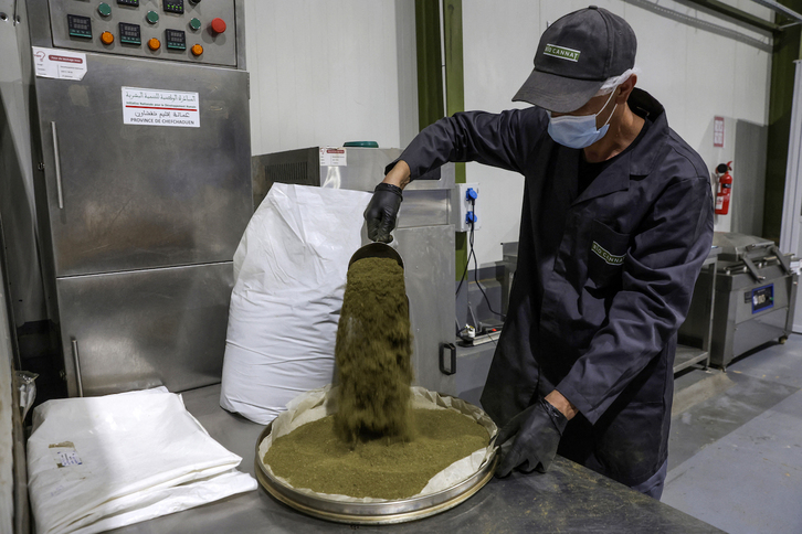 Trabajos de transformación del cannabis, en una fábrica de Bab Berred.