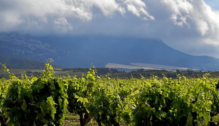 Imagen de archivo de un viñedo amenazado por la tormenta en Samaniego.