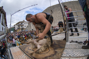 Ardi moztaileak Uharte Arakilen.