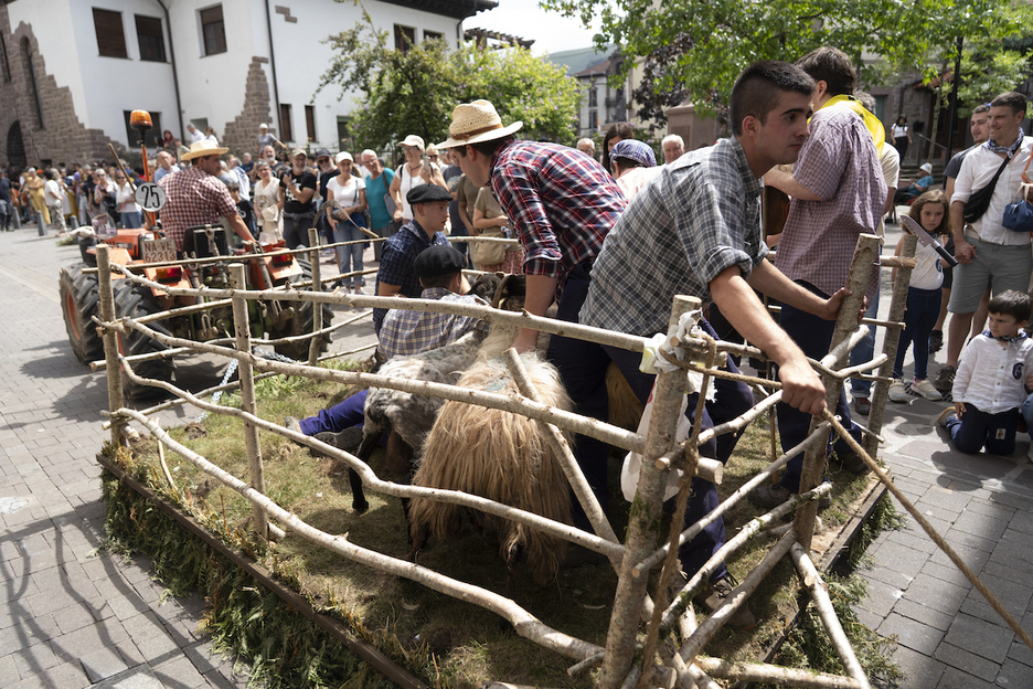 Ardien lanak eraman dituzte desfilera. Ardien lanak eraman dituzte desfilera.