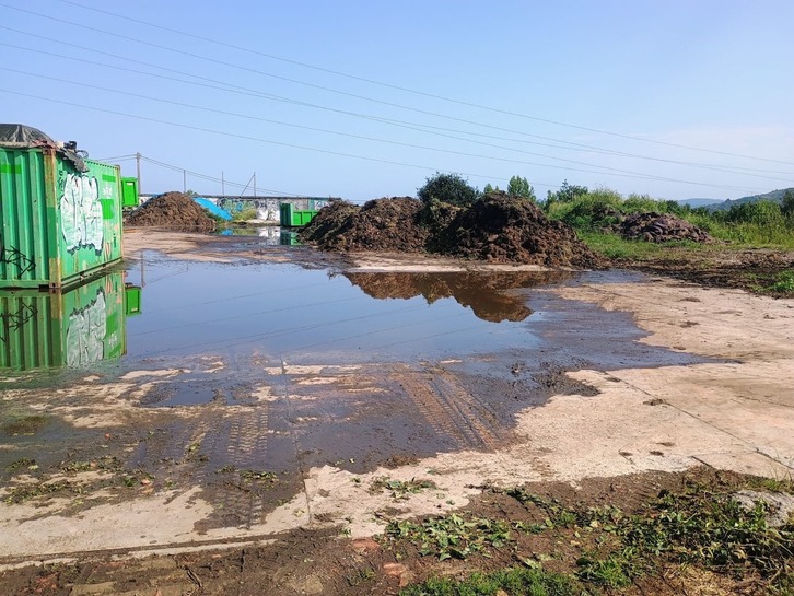 Montones de hierba podrida y charcos de lixiviados en la explanada de Kastrexana.