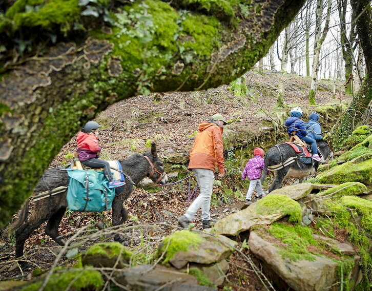 Mendiko bordetara bidean, astoen laguntzarekin.