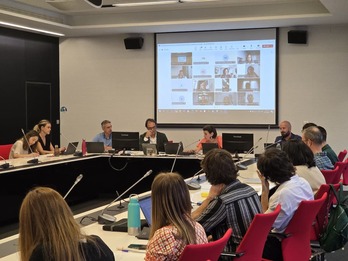 La consejera Nerea Molgosa y su equipo presentaron el Plan al Consejo de Infancia y Adolescencia y al  de Familia en sesión conjunta.