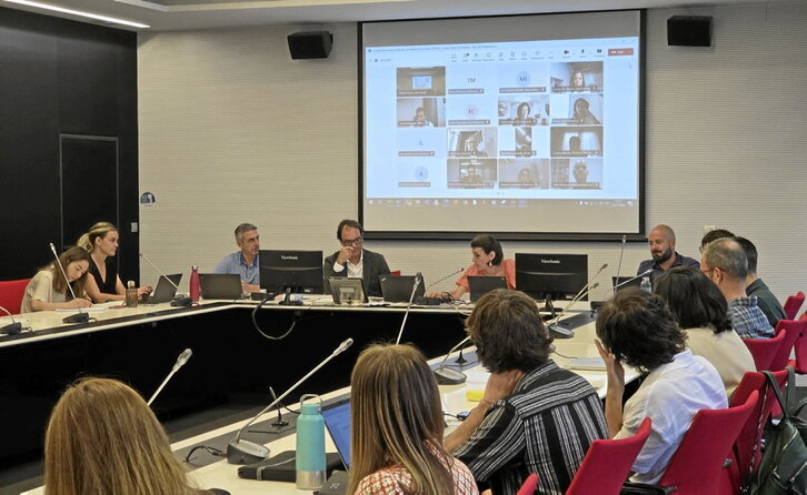 La consejera Nerea Melgosa y su equipo presentaron el plan al Consejo de Infancia y Adolescencia y al  de Familia en sesión conjunta.