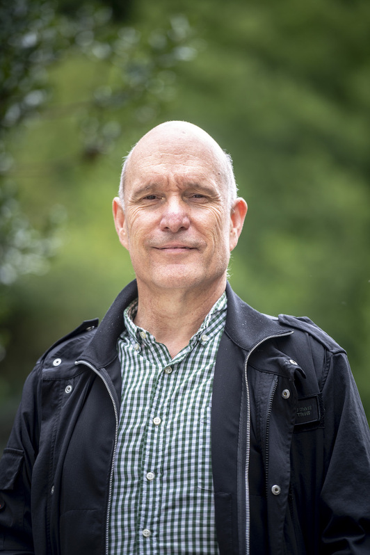 Imanol Larrea Mendizabal, Soziolinguistika Klusterreko zuzendaria.