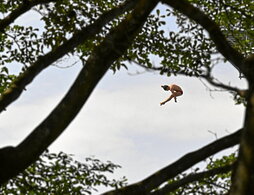 gara-2025-07-27-Noticia