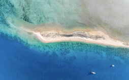 gara-2025-07-29-Reportaje