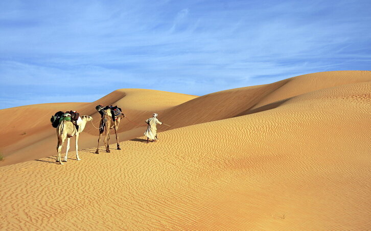Mauritaniako oasi bateko irudi magikoa. (Michaely Park | Getty Images)