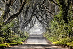 gara-2025-07-29-Noticia