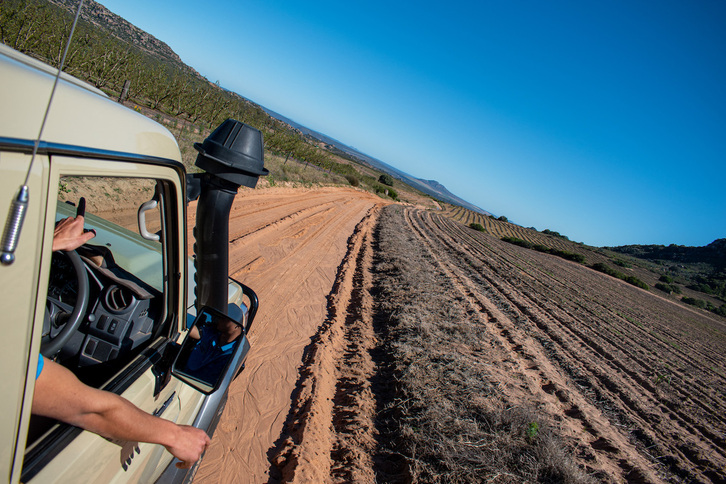 Los aranceles de EEUU van a ser especialmente perjudiciales para los agricultores blancos de Sudáfrica que Trump dice proteger.