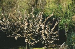 Una de las obras que conforman la muestra.