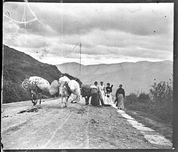 gara-2025-08-07-Noticia