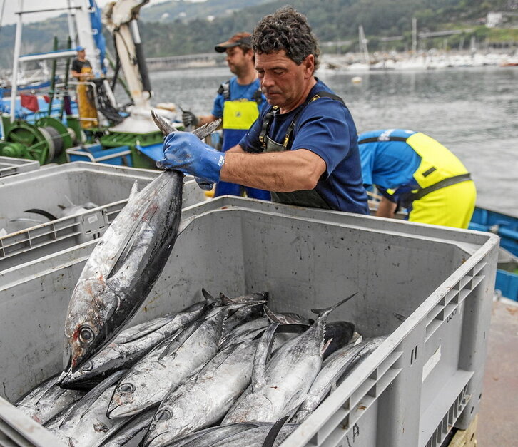 Getarian, hegaluzearen kanpainaren amaiera aldera, artxiboko irudia.