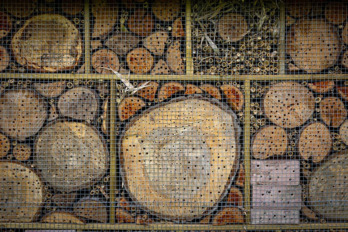 Los hoteles para insectos están compuestos por materiales atractivos para las diferentes especies.