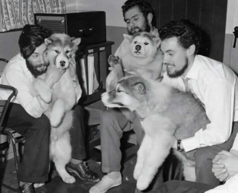 Dennis Bell (izquierda) con sus compañeros y los perros que los ayudaron a trabajar en la Antártida. Pleno invierno de 1959 en la Base de la Bahía del Almirantazgo.