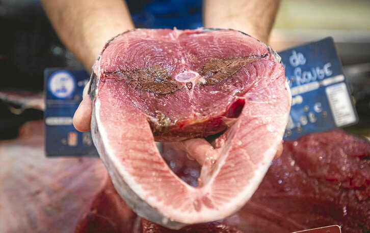 En la otra página, una rodaja de atún rojo en la fiesta de julio en Donibane Lohizune en torno a este pescado; y sobre estas líneas, un ejemplar en el mercado de la misma localidad labortana.