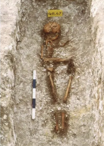 Los restos analizados para llegar a este hallazgo.