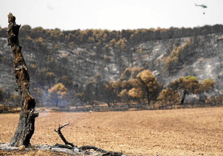 A la izquierda, foto tomada en Zarrakaztelu, con un helicóptero -al fondo- sobrevolando la zona quemada. Arriba, bomberos frente a un fuego en Abejera (Zamora, España).