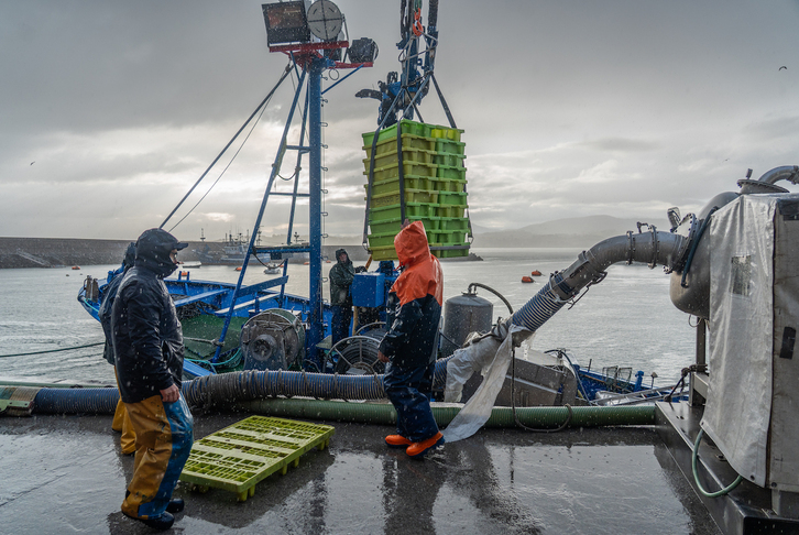 Un barco descarga su captura en el puerto de Hondarribia.