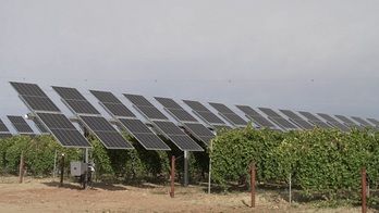 La instalación denominada Wine Solar.