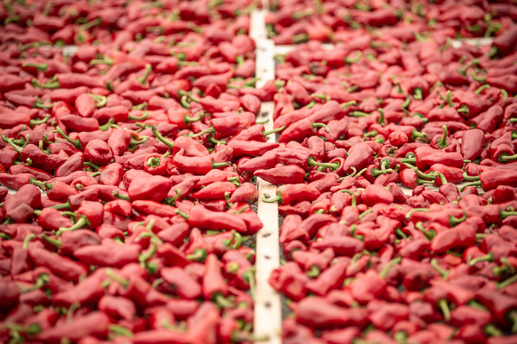 Pimientos de Ezpeleta.