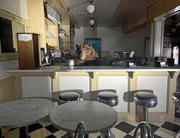 gara-2025-08-22-Noticia