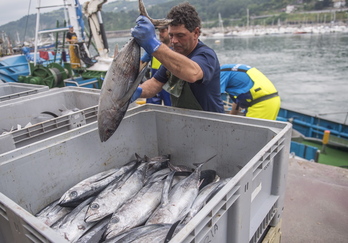 Imagen de archivo de la descarga de atún en el puerto de Getaria.